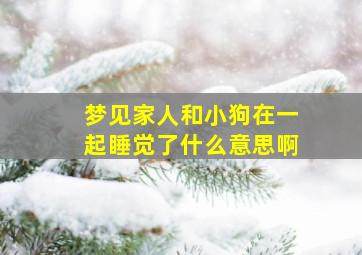 梦见家人和小狗在一起睡觉了什么意思啊