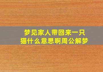 梦见家人带回来一只猫什么意思啊周公解梦