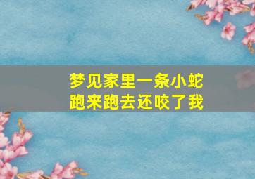 梦见家里一条小蛇跑来跑去还咬了我