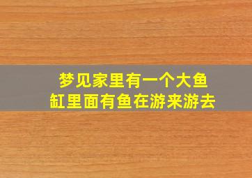 梦见家里有一个大鱼缸里面有鱼在游来游去