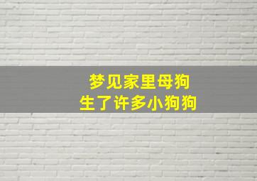 梦见家里母狗生了许多小狗狗