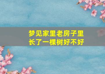 梦见家里老房子里长了一棵树好不好