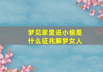 梦见家里进小偷是什么征兆解梦女人