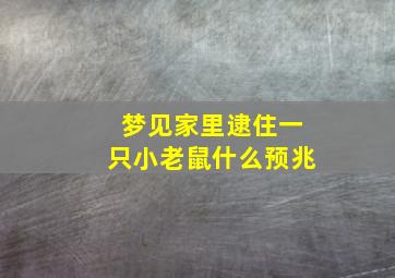 梦见家里逮住一只小老鼠什么预兆