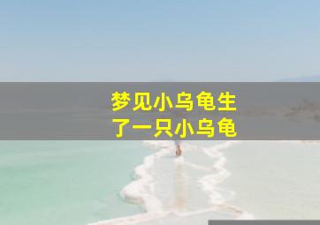 梦见小乌龟生了一只小乌龟