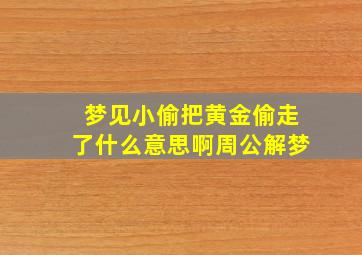 梦见小偷把黄金偷走了什么意思啊周公解梦