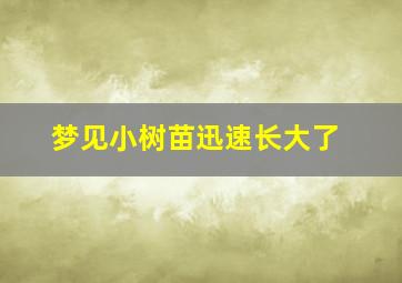 梦见小树苗迅速长大了