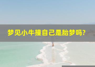 梦见小牛撞自己是胎梦吗?