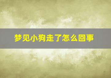 梦见小狗走了怎么回事