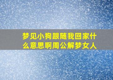 梦见小狗跟随我回家什么意思啊周公解梦女人