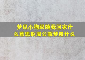 梦见小狗跟随我回家什么意思啊周公解梦是什么