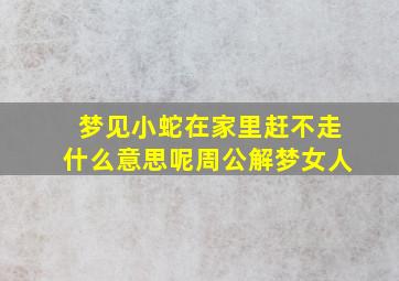 梦见小蛇在家里赶不走什么意思呢周公解梦女人