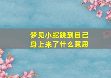 梦见小蛇跳到自己身上来了什么意思