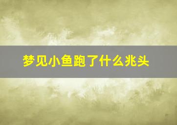 梦见小鱼跑了什么兆头