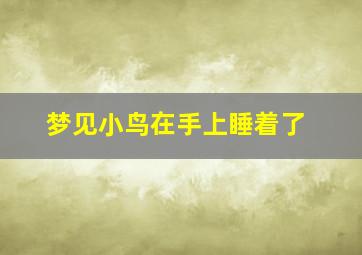 梦见小鸟在手上睡着了