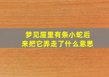 梦见屋里有条小蛇后来把它弄走了什么意思