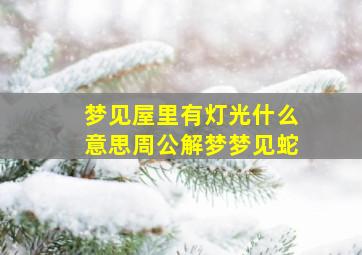 梦见屋里有灯光什么意思周公解梦梦见蛇