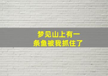 梦见山上有一条鱼被我抓住了