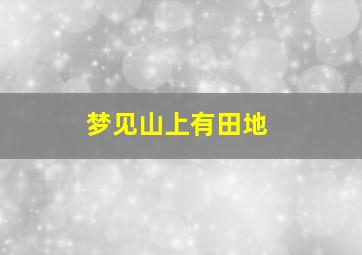 梦见山上有田地