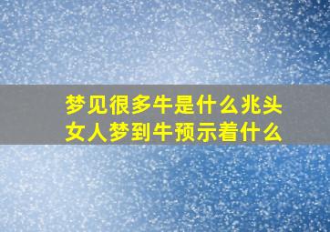 梦见很多牛是什么兆头女人梦到牛预示着什么