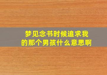 梦见念书时候追求我的那个男孩什么意思啊