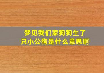 梦见我们家狗狗生了只小公狗是什么意思啊