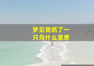 梦见我抓了一只鸟什么意思