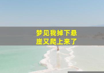 梦见我掉下悬崖又爬上来了