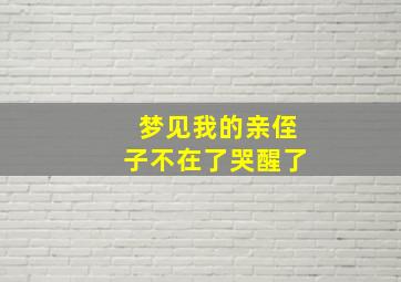 梦见我的亲侄子不在了哭醒了