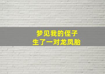 梦见我的侄子生了一对龙凤胎