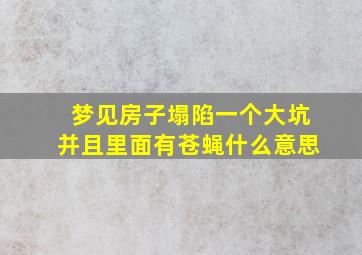 梦见房子塌陷一个大坑并且里面有苍蝇什么意思