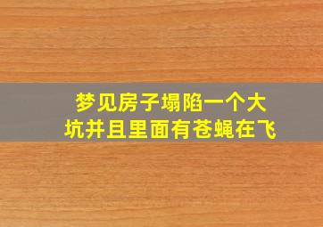 梦见房子塌陷一个大坑并且里面有苍蝇在飞