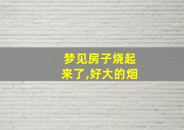 梦见房子烧起来了,好大的烟