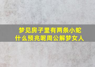 梦见房子里有两条小蛇什么预兆呢周公解梦女人