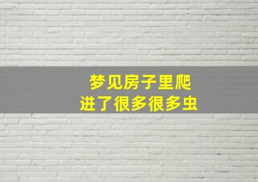 梦见房子里爬进了很多很多虫