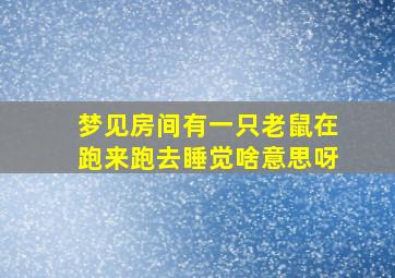 梦见房间有一只老鼠在跑来跑去睡觉啥意思呀