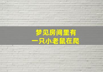 梦见房间里有一只小老鼠在爬