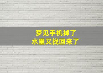 梦见手机掉了水里又找回来了