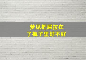 梦见把屎拉在了裤子里好不好