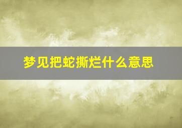 梦见把蛇撕烂什么意思