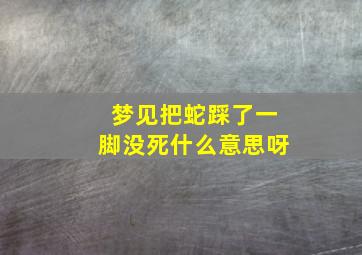 梦见把蛇踩了一脚没死什么意思呀