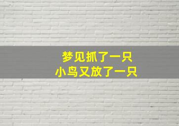 梦见抓了一只小鸟又放了一只