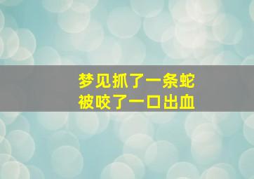 梦见抓了一条蛇被咬了一口出血