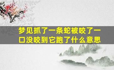 梦见抓了一条蛇被咬了一口没咬到它跑了什么意思