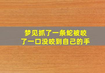 梦见抓了一条蛇被咬了一口没咬到自己的手