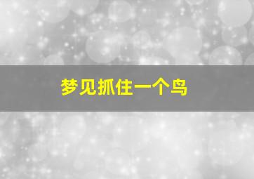 梦见抓住一个鸟