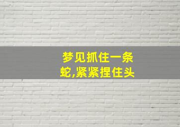 梦见抓住一条蛇,紧紧捏住头