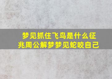 梦见抓住飞鸟是什么征兆周公解梦梦见蛇咬自己