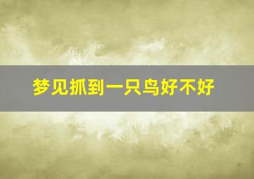 梦见抓到一只鸟好不好