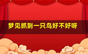 梦见抓到一只鸟好不好呀